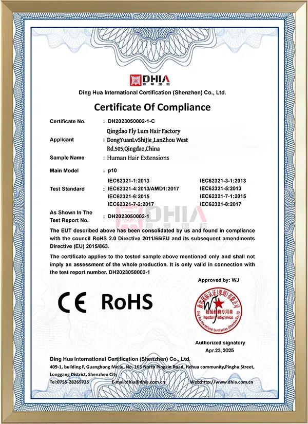 Butterfly Hair Extensions